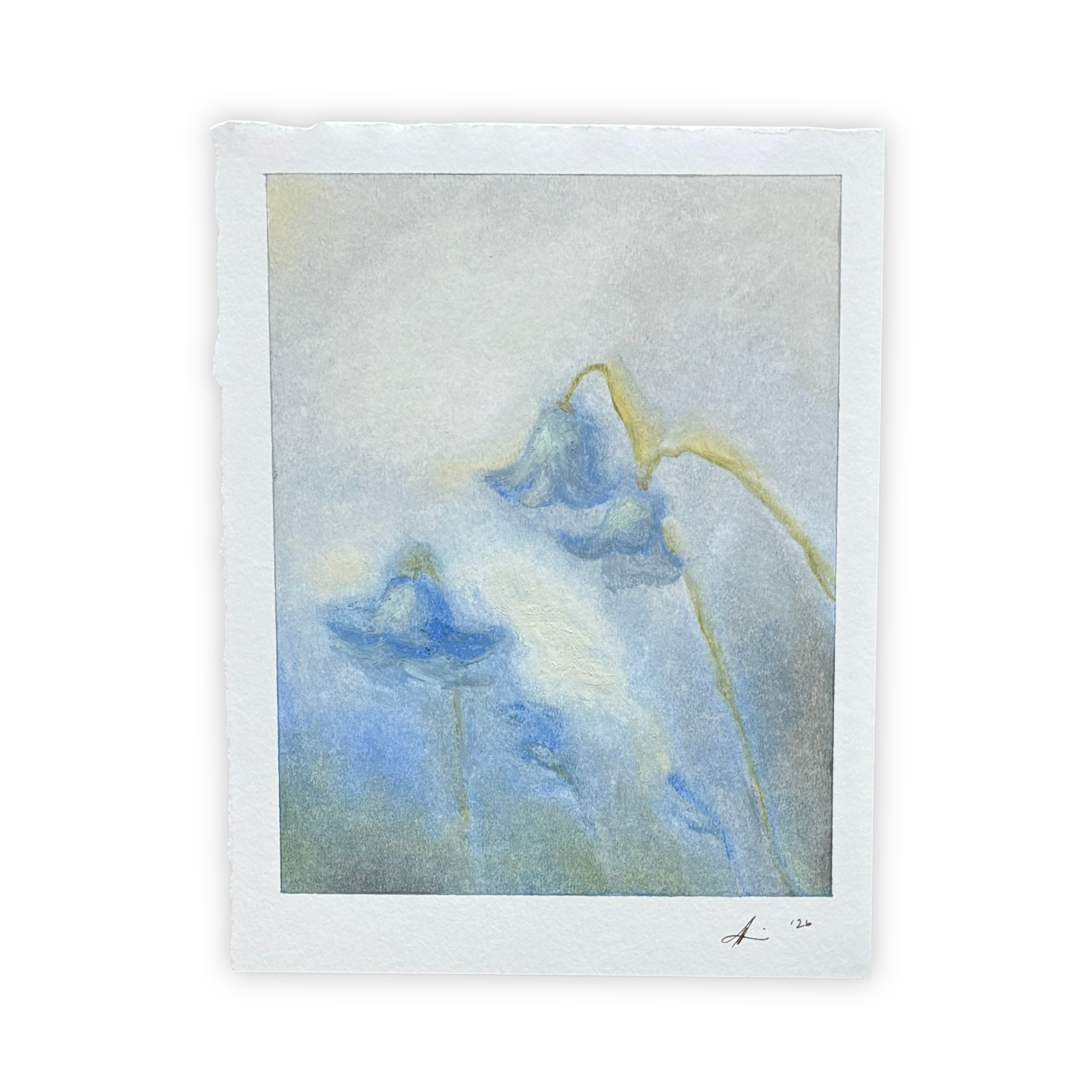 06.26.2026