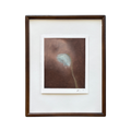 06.08.2026