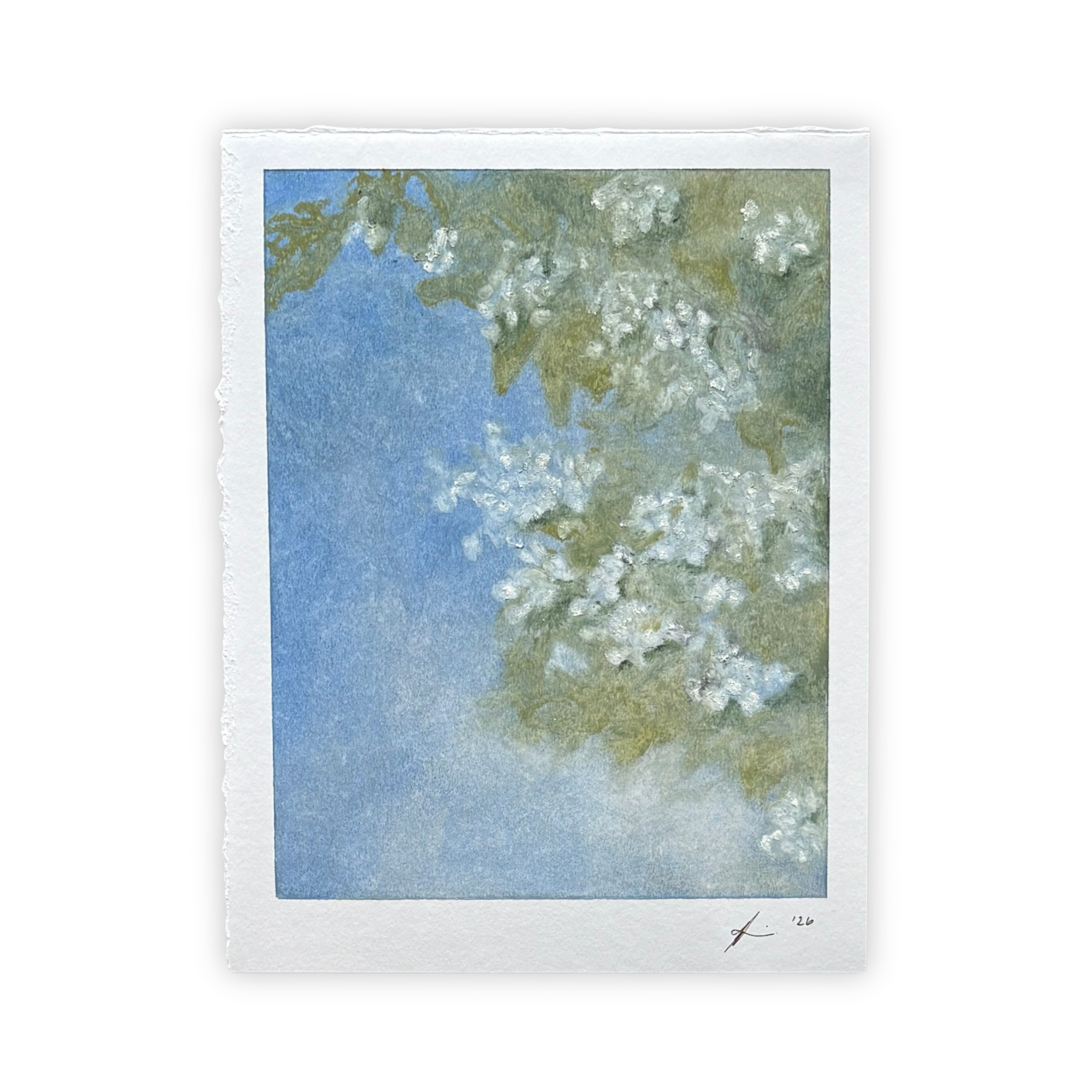 06.30.2026